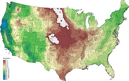 2tax04_Gymnosperm.png 2tax04_Gymnosperm.png